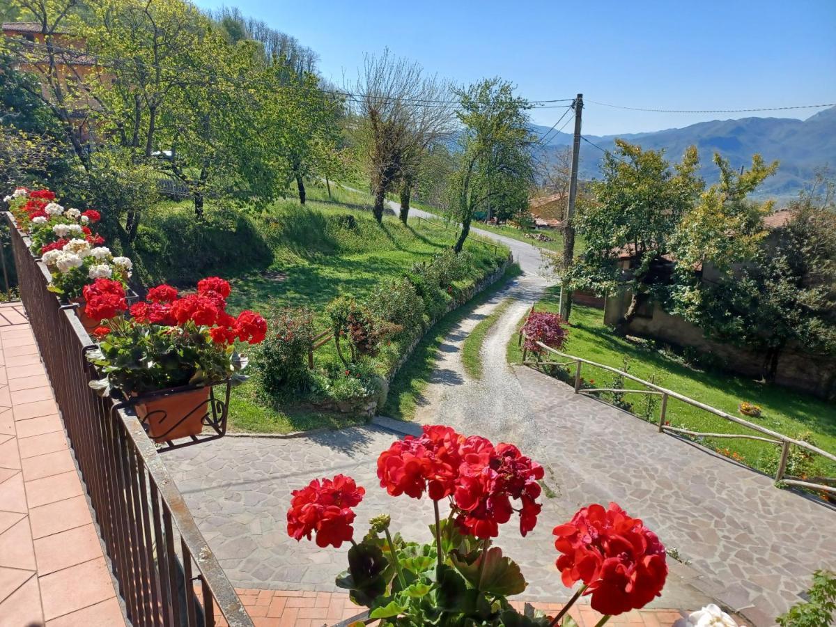 Le Pianacce - Appartamento Per Vacanze Castiglione di Garfagnana Exterior foto